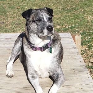 Meet your Posher, Debbie